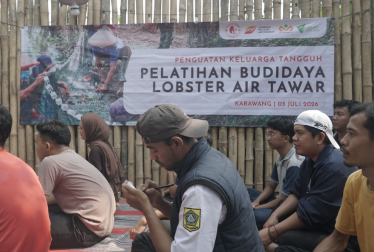 Tingkatkan Ekonomi dan Daya Saing Budidaya Lobster, LPM Dompet Dhuafa Gelar Pelatihan Bagi Pemuda Karawang