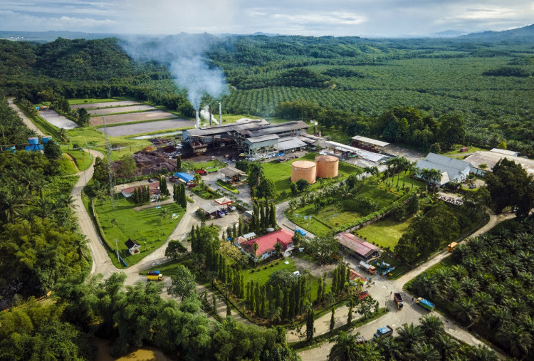 Komitmen Industri Sawit Wujudkan Ekonomi Hijau, Kawal Perekonomian Nasional dan Pelestarian Lingkungan