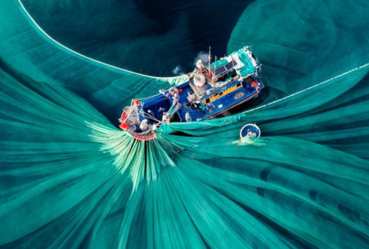 Epson Asia Tenggara Buka Pendaftaran untuk The 17th Epson International Pano Awards 2026 