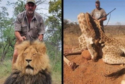 Instan Karma! Pemburu Liar yang Sering Membunuh Gajah dan Jerapah Kini Tertembak Mati di Afrika Selatan