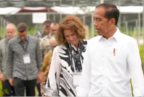 133 Hari Jelang Berakhirnya Kepemimpinan, Jokowi Ingatkan Pentingnya Reboisasi IKN