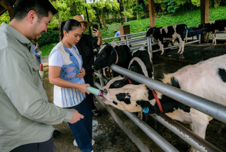 Libur Nataru Makin Dekat, Wamenpar Cek Kesiapan Destinasi Wisata Bogor 