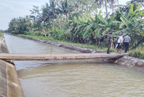 Bocah 9 Tahun Tenggelam Di Saluran Irigasi, Baru Ditemukan Setelah 2 ...