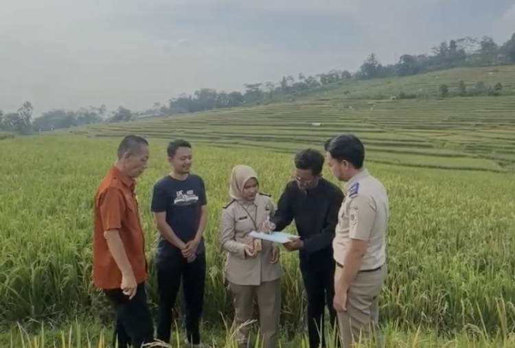 Urus Tanah Makin Mudah, Tanpa Perantara, Kini Cukup Pakai Layanan FIFO