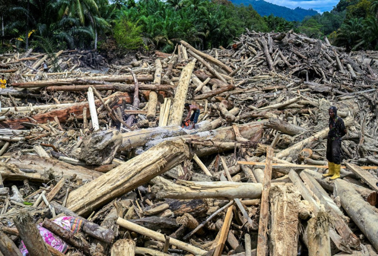 Mitigasi Berbasis Lanskap, Bukan Sekadar Izin Lingkungan