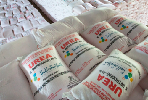 Harga Pupuk Meroket Imbas Penutupan Selat Hormuz, Pupuk Indonesia: Stok Aman