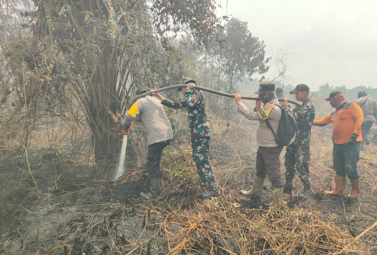 Darurat Asap! Bengkalis Diserang Karhutla, Dikerahkan Water Bombing hingga Police Line