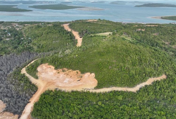 Kemenhut Tetapkan PT GTP Tersangka Korporasi Kasus Perambahan Hutan Lindung Tanjung Piayu