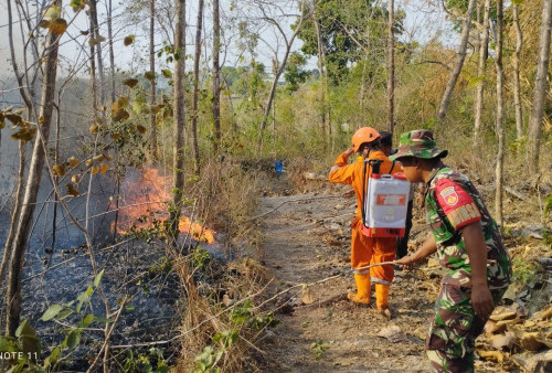 Karhutla di Sragen, Sembilan Hektar Lahan Terbakar, Dipicu Warga yang Membakar Sampah 
