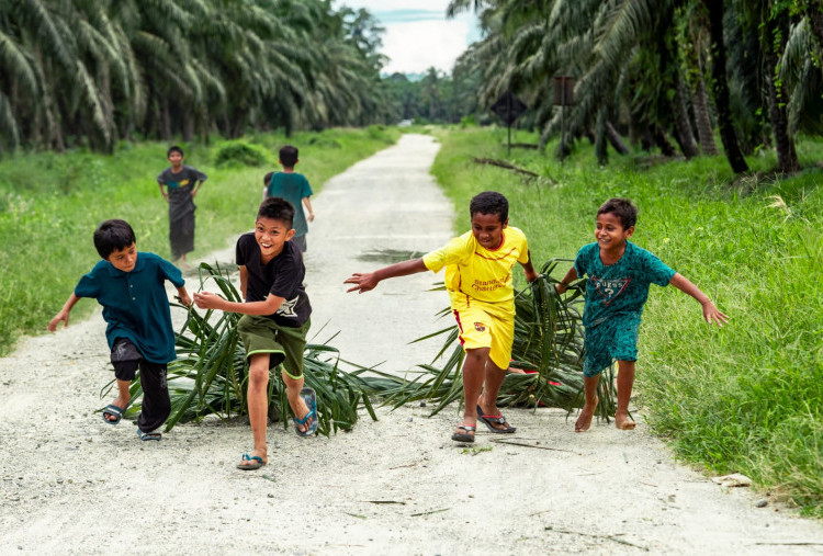 PASPI Sebut Pengembangan SDM Jadi Faktor Kunci Keberlanjutan Industri Sawit Nasional
