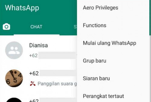 Ini Dia Perbedaan Whatsapp Aero dengan Aplikasi Resminya