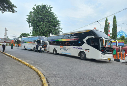 Alasan Pemudik Memilih Bus Sinar Jaya di Terminal Kalideres untuk Mudik Lebaran 2024