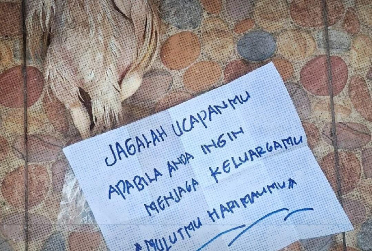 Aktivis Diteror Bangkai Ayam, Bos Greenpeace Indonesia: Kami Tak Akan Gentar!