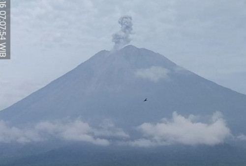 Gunung Semeru Erupsi Hari Ini, Tinggi Kolom Letusan 1.000 Meter di Atas Puncak