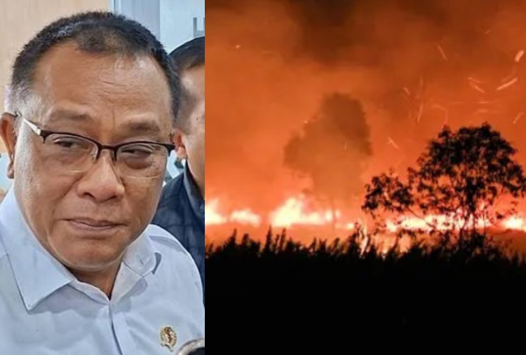 KLH Segel 21 Badan Usaha Terkait Kebakaran Hutan dan Lahan di 7 Provinsi