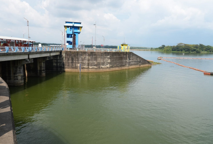 Seberapa Siap Indonesia Hadapi Ancaman El Nino Godzilla di Musim Kemarau? 