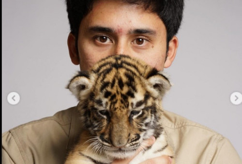 Alshad Ahmad Belum Lapor Anak Harimau yang Dipelihara Mati, BBKSDA Bergerak