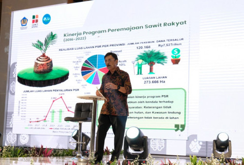 BPDPKS Paparkan Kinerja Sektor Sawit dalam Mengakselerasi Pertumbuhan Ekonomi Indonesia di Tahun 2022, Ini Pencapaiannya!