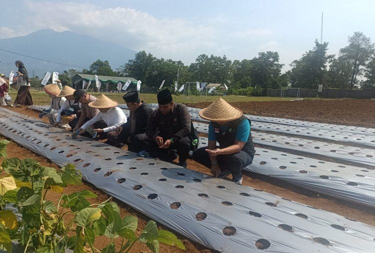 Dompet Dhuafa Luncurkan Kebun Pangan Madaya di Sukabumi untuk Ketahanan Pangan Masyarakat