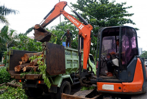 Petugas mengevakuasi pohon tumbang yang menutup Jalan Pahlawan, Sidoarjo, Selasa, 27 Februari 2024.

Hujan deras yang disertai angin kencang itu menumbangkan pohon di kawasan tersebut yang menyebabkan gangguan lalu lintas yang signifikan. Menurut saksi mata, pohon yang tumbang menutupi seluruh jalur jalan, menyebabkan kendaraan sulit melintas dan mengancam keselamatan pengguna jalan. Pihak berwenang segera merespons kejadian ini dengan mengirim tim evakuasi ke lokasi. (M Azizi Yofiansyah/Harian Disway)
