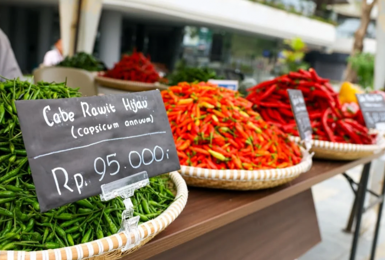 Festival Cabai Nusantara di IKN Buka Akses Pasar Petani, Dukung Pangan Lokal dan Kendalikan Inflasi