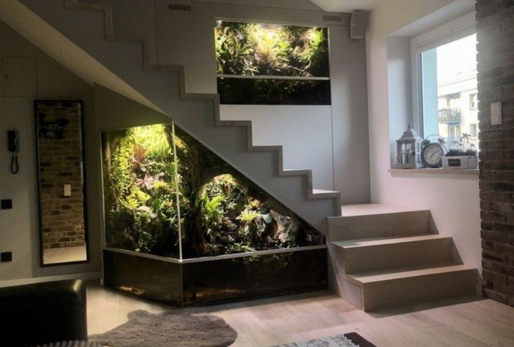 Desain Kolam Ikan Minimalis di Bawah Tangga Kian Diminati, Sulap Ruang Kosong Jadi Estetik