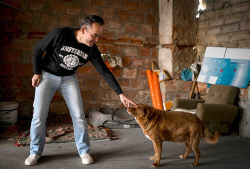 Bobi, Anjing Tertua di Dunia