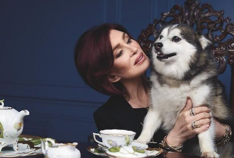 Keluarga Osbourne Kembali Berduka, Elvis Si Anjing Kesayangan Meninggal Dunia