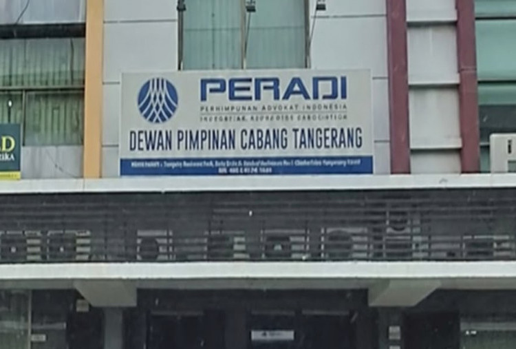 Dewan Kehormatan Daerah Tangerang Jatuhkan Sanksi Etik kepada Pengacara Ewi, Ini Pertimbangan Etiknya
