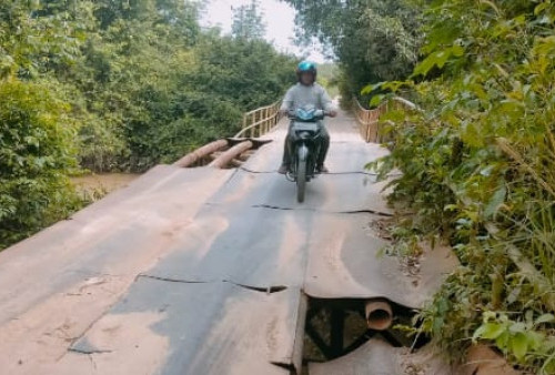Jembatan Rusak di Desa Sumber Sari Tak Kunjung Diperbaiki, Warga Khawatir
