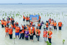 Geliat Ekonomi Biru di Pulau Pari: Dari Penanaman Mangrove hingga Literasi Keuangan Warga  