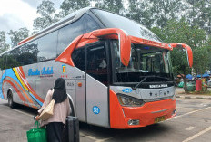 Harga Tiket Bus AKAP untuk Libur Tahun Baru 2026 Tujuan Jakarta-Malang, Buruan Beli!