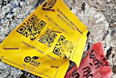 Viral Ribuan Kayu Gelondongan Berlabel Kemenhut Terdampar di Pesisir Lampung: Ada Tulisan 'SVLK Indonesia'