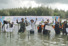 Dompet Dhuafa Tanam 220 Mangrove di Pantai Uleee Lheue Banda Aceh