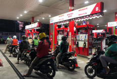 Program Mandatori Biodiesel B35 Bisa Kurangi Ketergantungan Impor BBM