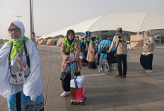 Update Kedatangan: 140 Kloter Sudah Tiba di Madinah