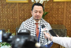 BKSAP DPR RI Kecam Penangkapan WNI Bersama WNA oleh Militer Israel saat Misi Kemanusiaan Global Sumud Flotilla