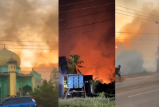 7 Titik Wilayah Karhutla di Kalimantan, Kabut Asap Lumpuhkan Aktivitas Warga
