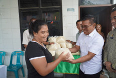 Bapanas Salurkan Bantuan Pangan ke Wilayah Terdampak Banjir Aceh, Sumut dan Sumbar