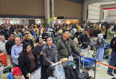 Link Cara Cek Jadwal dan Status Penerbangan Bandara Soetta yang Terdampak Erupsi Gunung Anak Krakatau