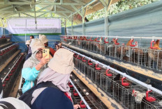 Dompet Dhuafa Ajak 50 Jurnalis Jelajahi Program Pemberdayaan di Zona Madina Bogor