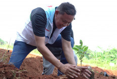 Dorong Urban Farming, Tri Adhianto: Solusi Ketahanan Pangan dan Wisata Hijau di Kota Bekasi