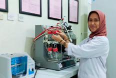 Biomassa dan Masa Depan Kemandirian Energi Indonesia