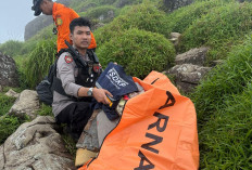 Medan Sulit, Cuaca Ekstrem, Evakuasi Korban Pesawat ATR Terhalang 