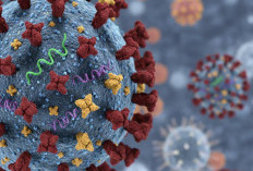 Geger Varian Flu Subclade K Masuk RI, Kemenkes: Jangan Panik, Mirip Flu Biasa!