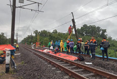 Tiang Listrik Roboh di Lintasan Maja–Tigaraksa, KAI Commuter Rekayasa Operasi KRL Rangkasbitung
