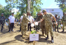 TMMD Manokwari Dorong Kampung Hijau Papua Lewat Program Kakao Berkelanjutan