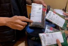 Modus Kirim Narkoba Pakai Paket Online Disergap Polisi, Barang Bukti Ganja 2,3 Kg Terungkap