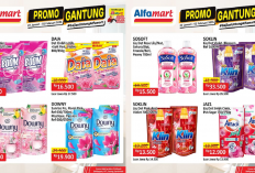 Promo JSM Alfamart 31 Januari-2 Februari 2025 Terbaru, Diskon Deterjen hanya Rp8 Ribuan