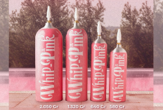 Apakah Whip Pink Termasuk Narkotika Berbahaya Picu Kematian? Simak Penjelasan dan Kandungannya 